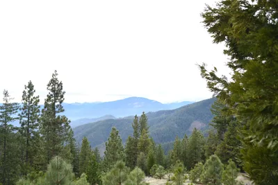 DSC_0064 (Large).JPG